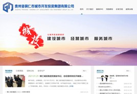 铁西城市开发投资集团有限公司