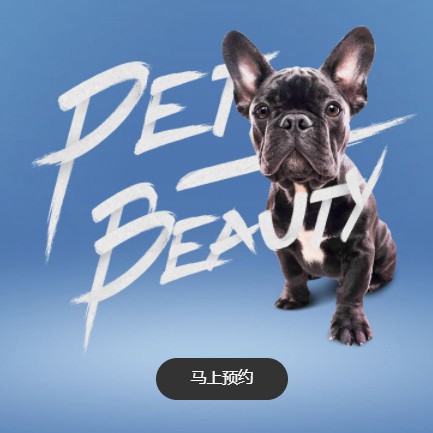 铁西宠物中心小程序开发