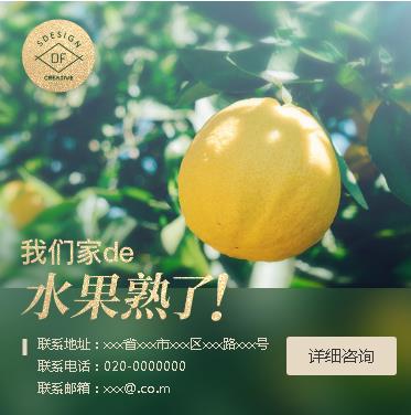 铁西果园果林小程序开发